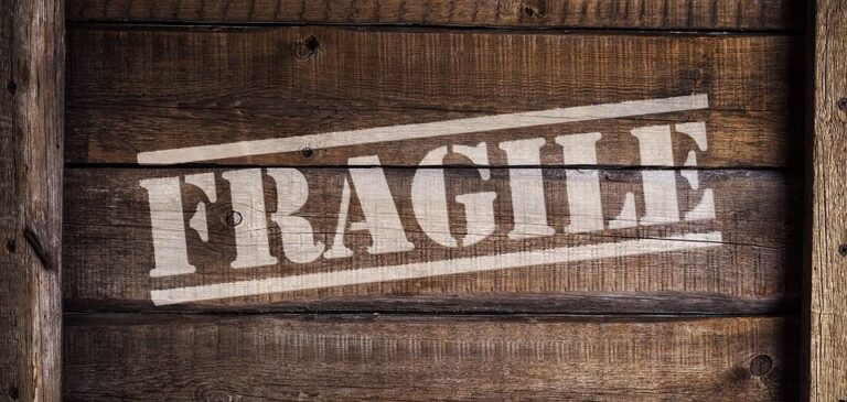 7 Tips to Packing Your Kitchen and Fragile Items | Hercules Movers, Inc.